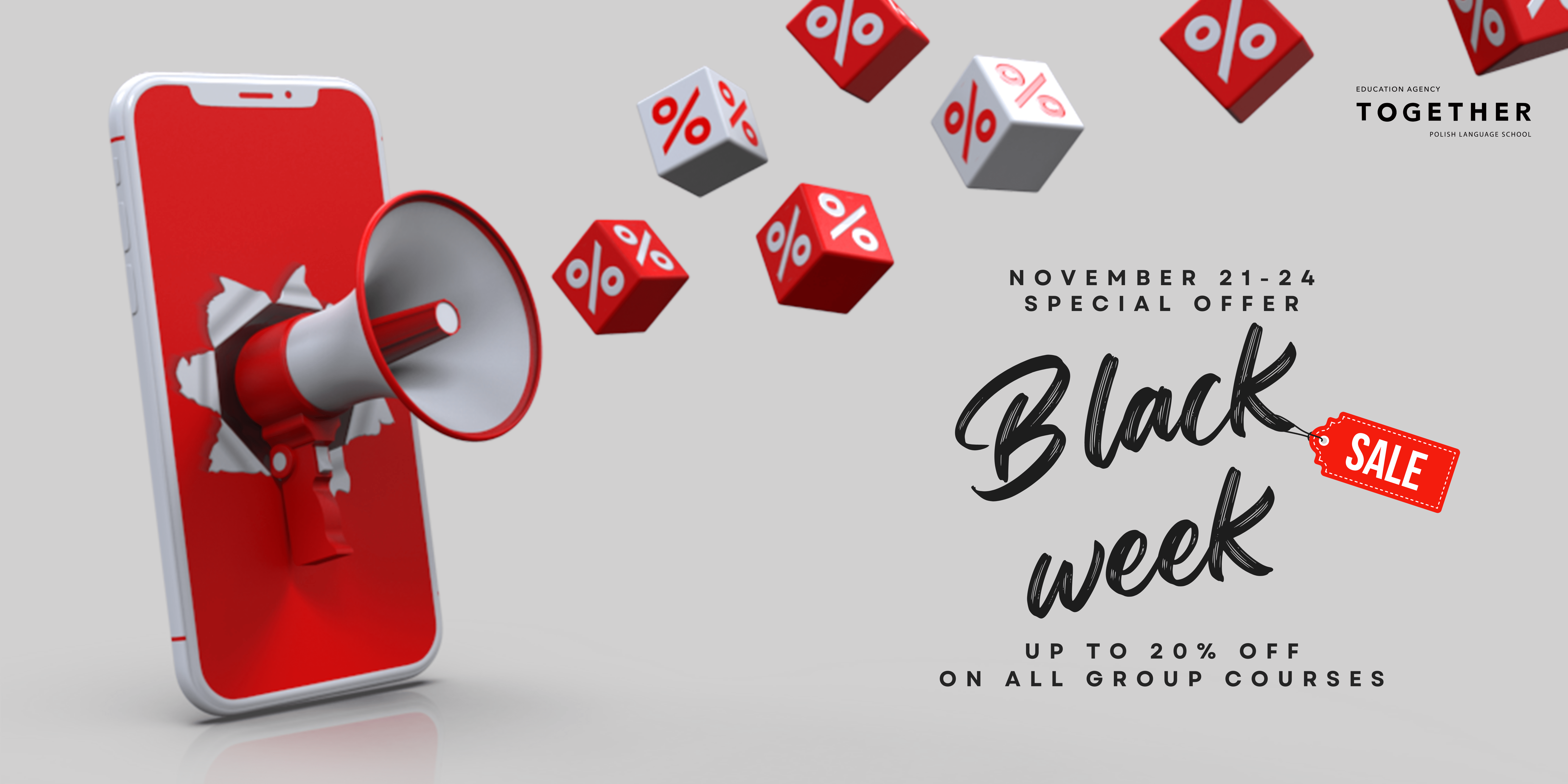 Black Week - 20 percent discount on all group Polish courses
